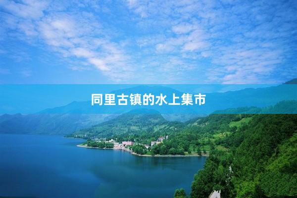 同里古镇的水上集市