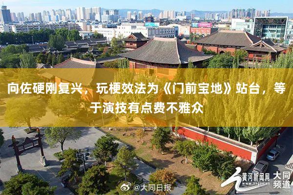 向佐硬刚复兴，玩梗效法为《门前宝地》站台，等于演技有点费不雅众